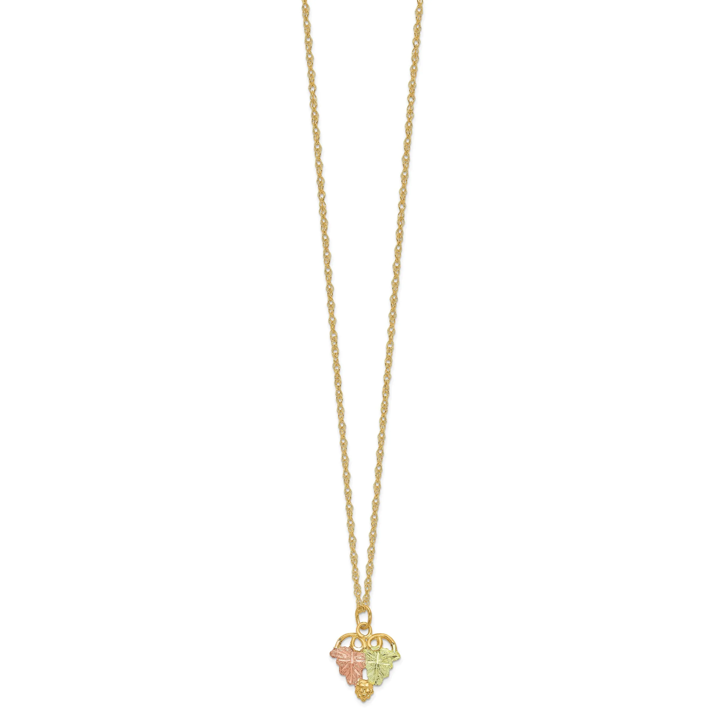 10K Tri-Color Black Hills Gold Polished Ropa Necklace