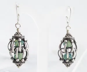 Caged Crystal Earrings