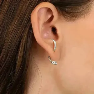 Fashionable Curvy Snake Earrings