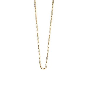 "Stevie" Delicate Open Link Chain