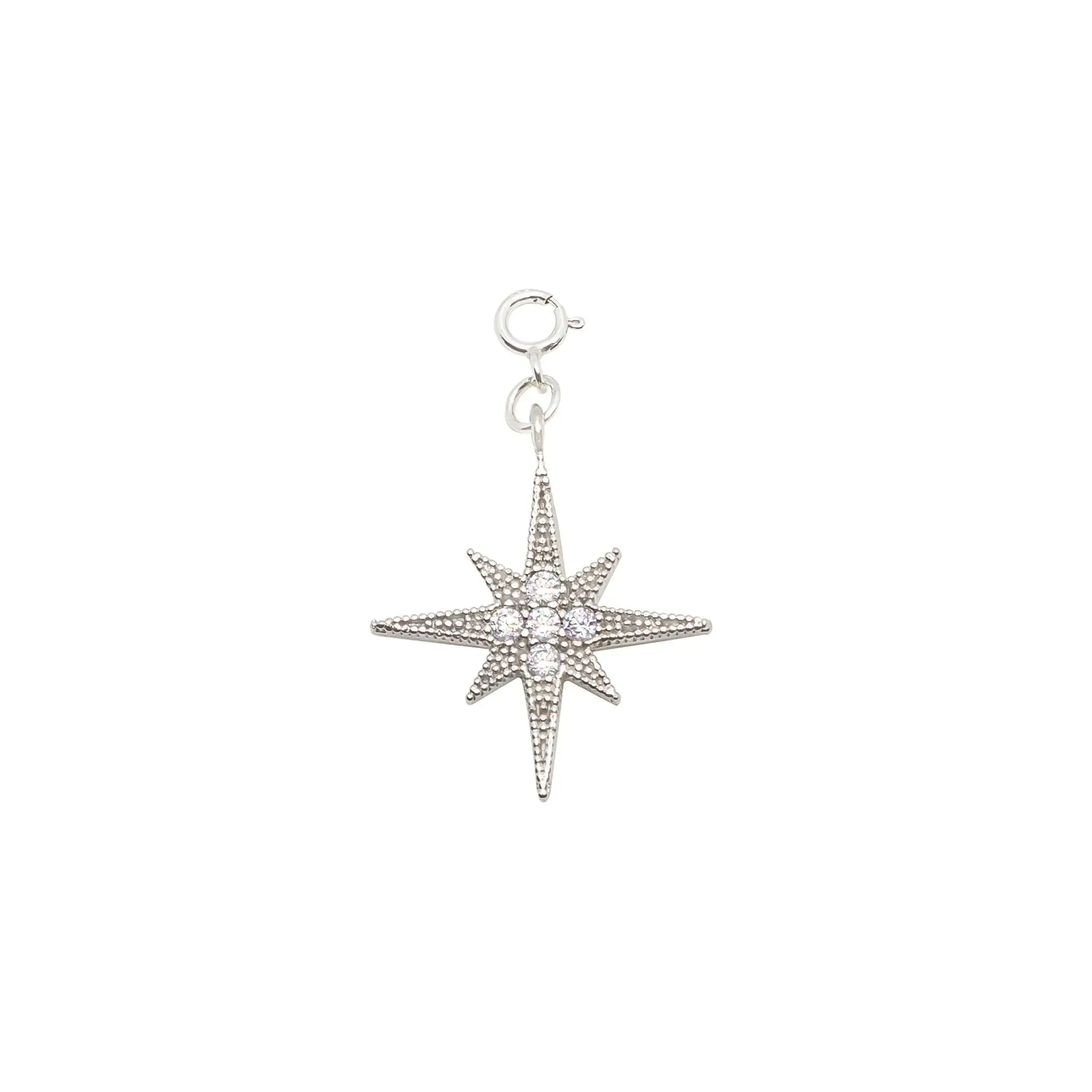 Shining Star Silver Charm