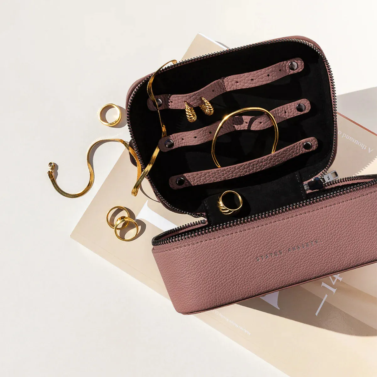Status Anxiety Shining Armour Jewellery Case - Dusty Rose