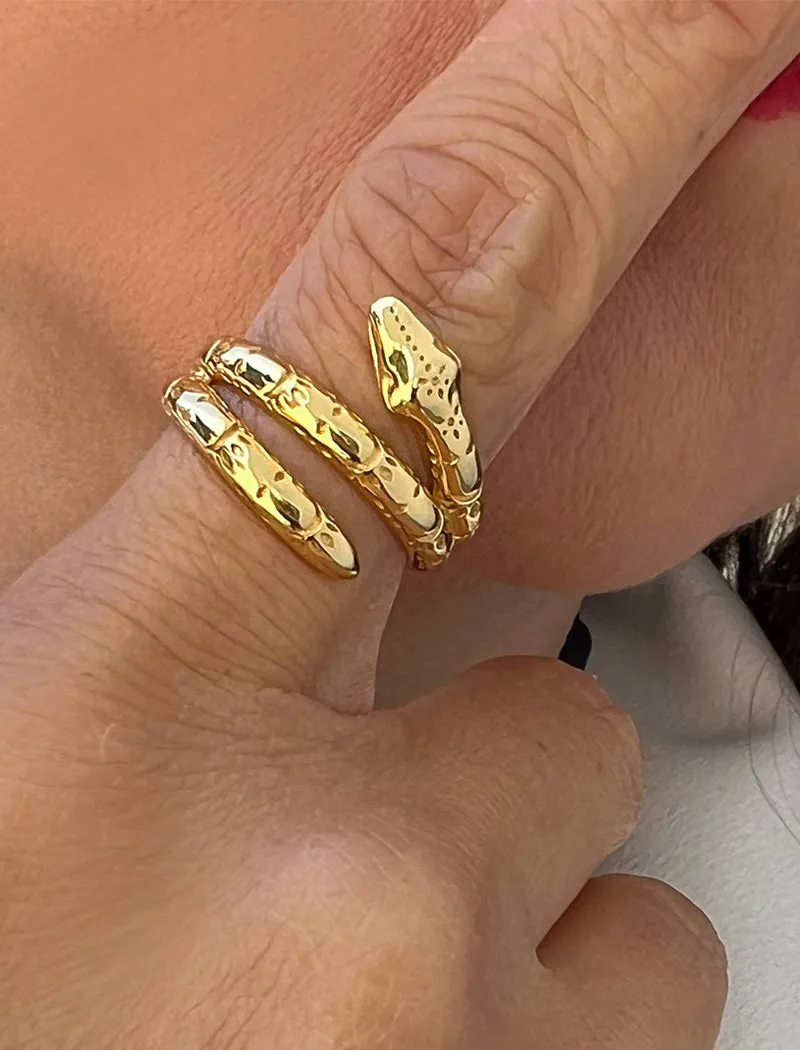 YEAR OF THE SNAKE Ring | Sterling Silver